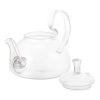 20 oz/600 ml Glass Teapot Removable Metal Spout Hanging Spring