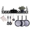 Black Metal Rectangular Wall Mounted Kitchen Pot Rack with 12 Hanging Hooks